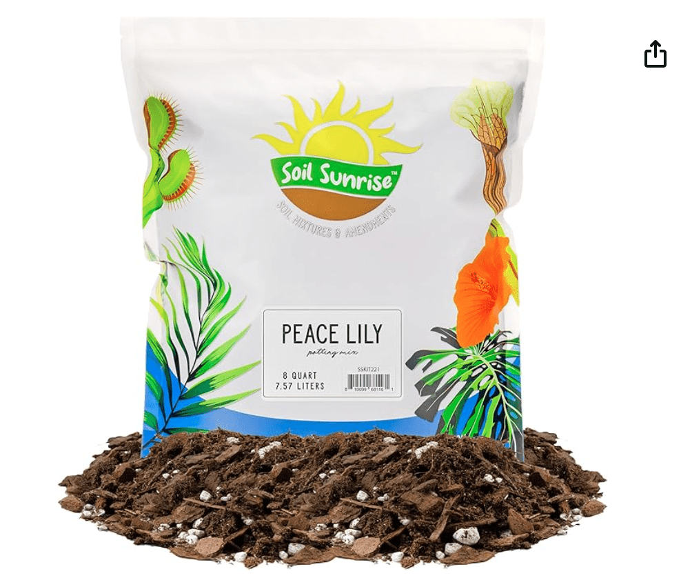 Soil Sunrise peace lily mix with mud in front of the cover